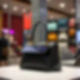 Stylish touch screen purse on display