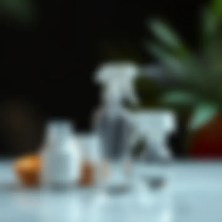 Sustainable Materials in Mist Sprayers Eco-friendly materials used in mist sprayers