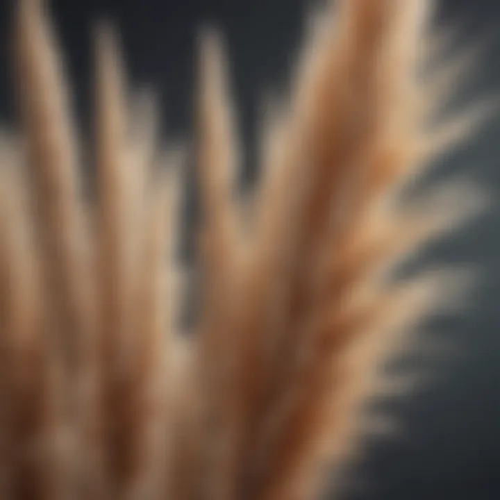 Close-up of a fashion accessory featuring tall dried pampas grass