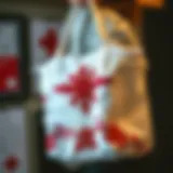 Intricate Designs in Nurse Bags Stylish embroidered nurse bag showcasing intricate designs