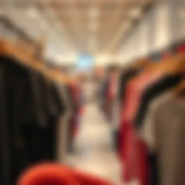 Budget-Friendly Plus Size T-Shirt Shopping A budget-friendly shopping scene featuring plus size T-shirts