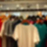 A stylish array of plus size T-shirts displayed on hangers