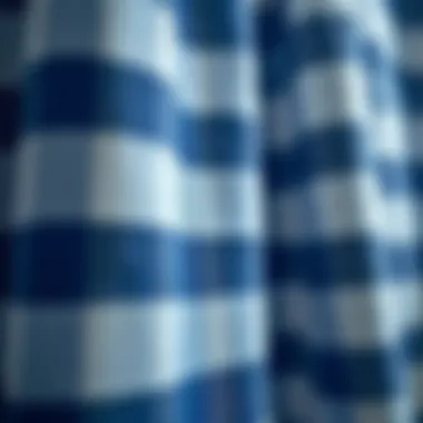 Close-up of Blue and White Buffalo Check Fabric Texture Close-up view of blue and white buffalo check fabric texture