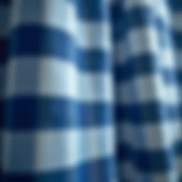 Close-up of Blue and White Buffalo Check Fabric Texture Close-up view of blue and white buffalo check fabric texture