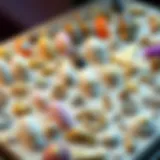 Elegant Display of 3D Nail Charms Elegant display of various 3D nail charms showcasing intricate designs