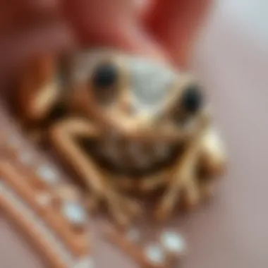 A close-up view of intricate details on a frog brooch