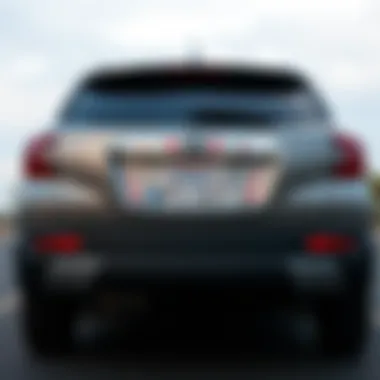 Diverse Range of Floral License Plate Frames Diverse range of floral license plate frames