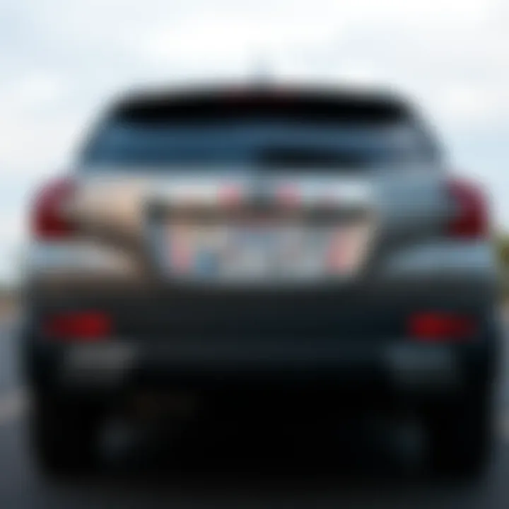 Diverse Range of Floral License Plate Frames Diverse range of floral license plate frames