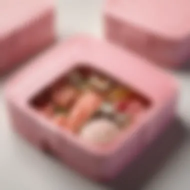 Close-up of the intricate design of a pink bento box.