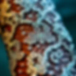 Close-up view of sparkling rhinestone fishnets showcasing intricate designs