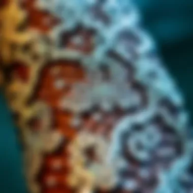 Intricacies of Rhinestone Fishnets Close-up view of sparkling rhinestone fishnets showcasing intricate designs