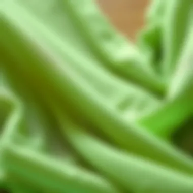 Sustainable Fabric in Lingerie Close-up of sustainable fabric used in green intimates