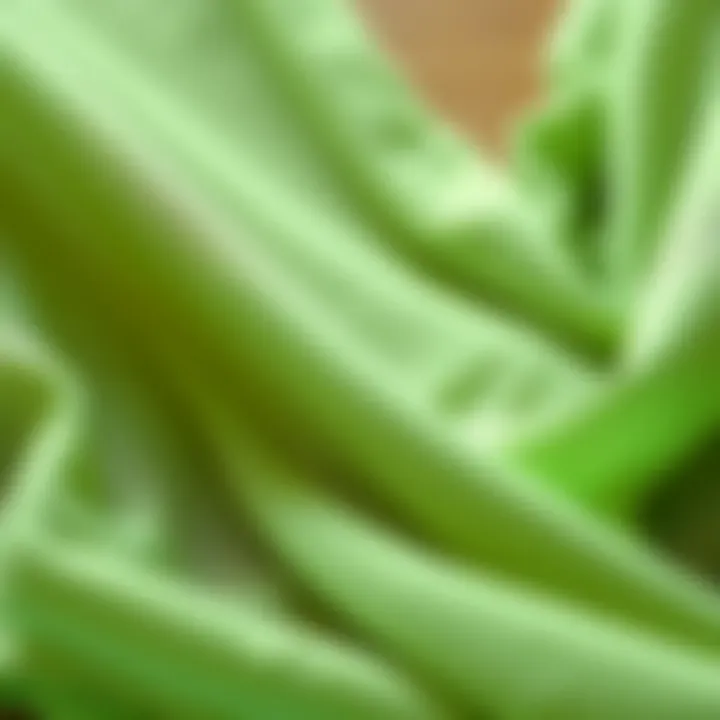 Sustainable Fabric in Lingerie Close-up of sustainable fabric used in green intimates