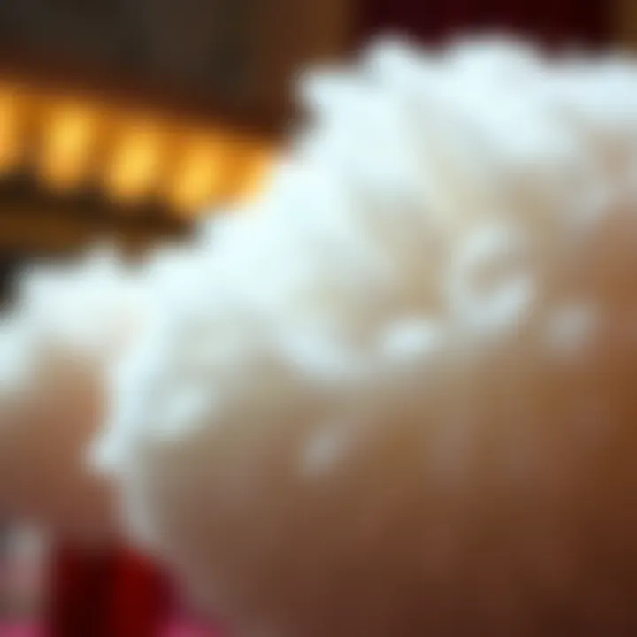 Luxurious Texture of Extra Large Powder Puffs Luxurious extra large powder puff showcasing plush texture