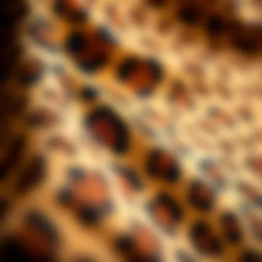 Close-up of fabric texture showcasing leopard print design