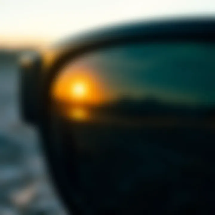 Polarized Lenses Reflecting Nature Close-up view of polarized lenses reflecting a serene landscape