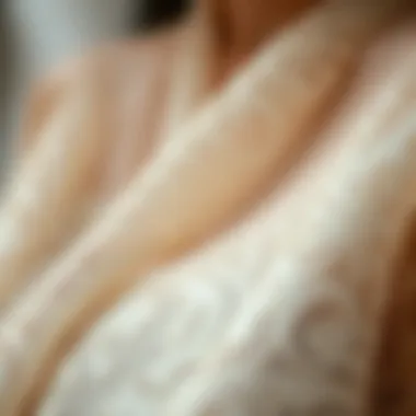 Craftsmanship Revealed: Intricate Sheer Textiles Close-up of intricate sheer textile patterns highlighting craftsmanship