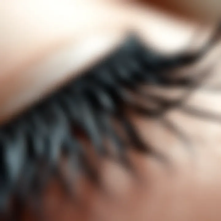 Close-up showcasing the intricate texture of mink lash fibers
