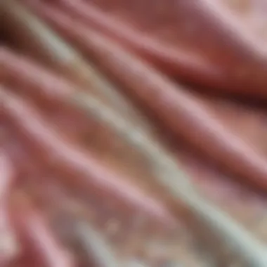 The Texture of Luxury: Understanding Silk Close-up of intricate silk fabric showcasing its texture