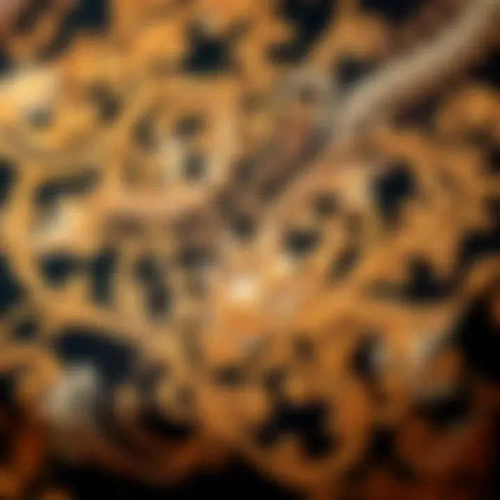 Intricate Baroque Print Detail Close-up view of the intricate baroque print design