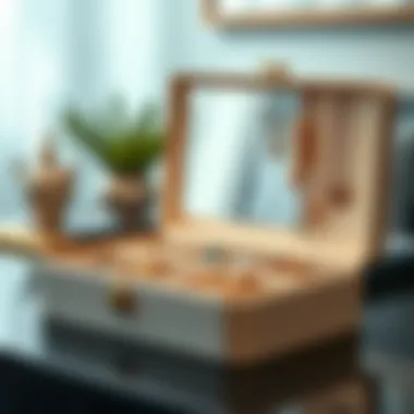 Stylish jewelry box with compartments specifically for necklaces