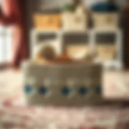 Elegant crochet storage box showcasing intricate design