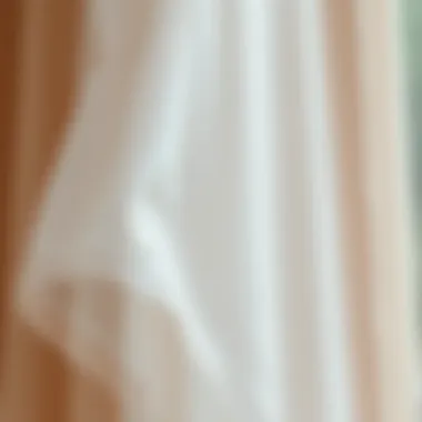 Intricate Chiffon Fabric Detailing Close-up of the delicate fabric texture of chiffon