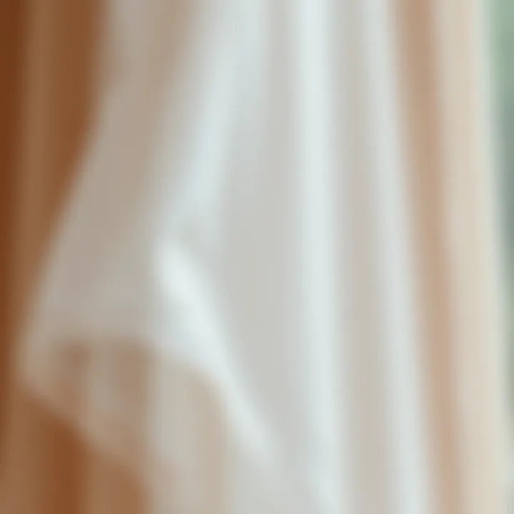 Intricate Chiffon Fabric Detailing Close-up of the delicate fabric texture of chiffon