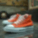 The Evolution of Canvas Shoe Designs Historical canvas shoe designs showcasing their evolution over the decades