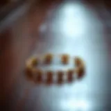 Elegant paw print ankle bracelet on a wooden surface