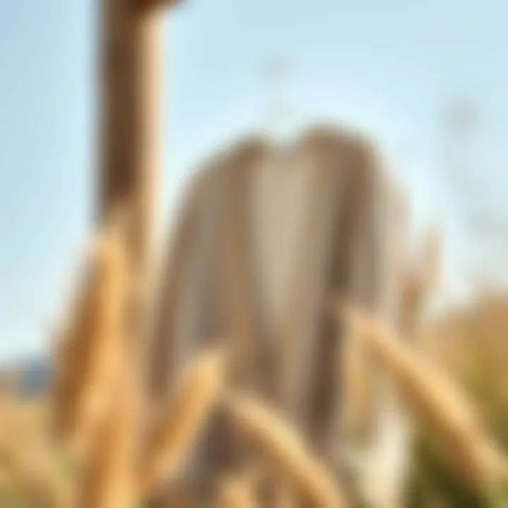 Eco-Friendly Choices Sustainable fabric choices for short cardigans