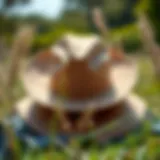 Stylish packable cowboy sun hat displayed outdoors