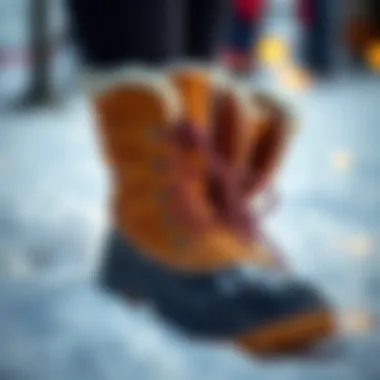 Winter Boots Featuring Felt Insoles Winter boots with felt insoles displayed in a snowy environment